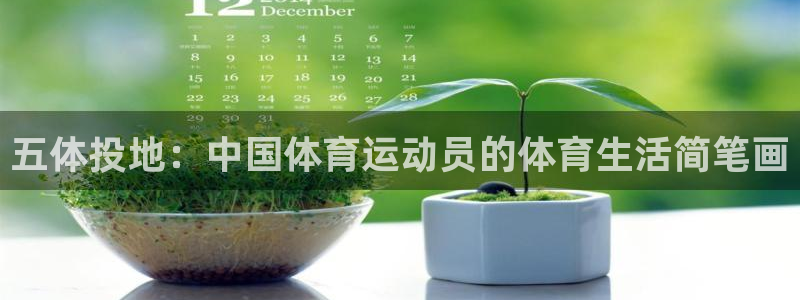 球友体育ipa：五体投地：中国体育运动员的体育生活简笔画