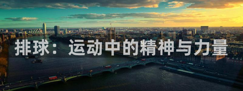 球友体育在线观看的网站是什么：排球：运动中的精神与力量