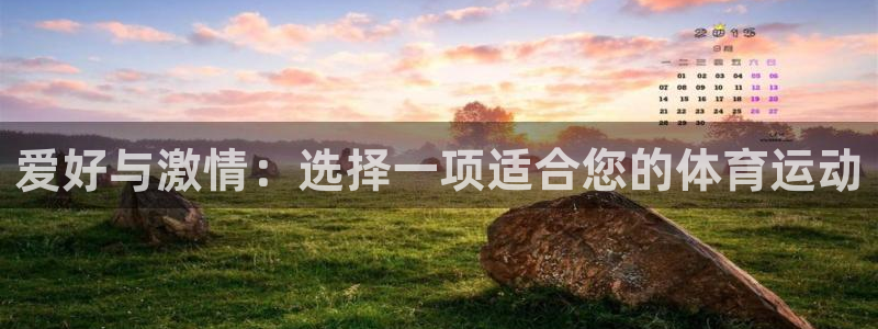 球友体育直播app下载安装：爱好与激情：选择一项适合您的体育运动