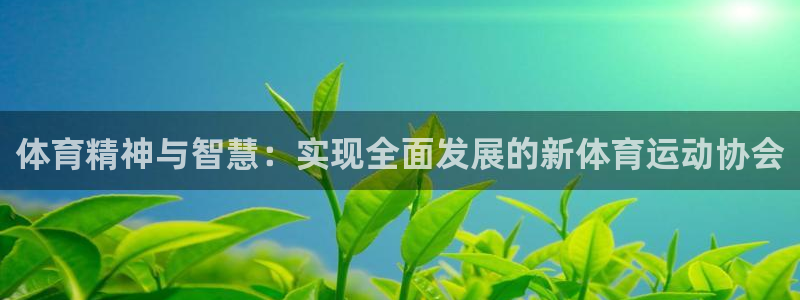 球友体育app官方下载最新版本2024：体育精神与智慧：实现全面发展的新体育运动协会