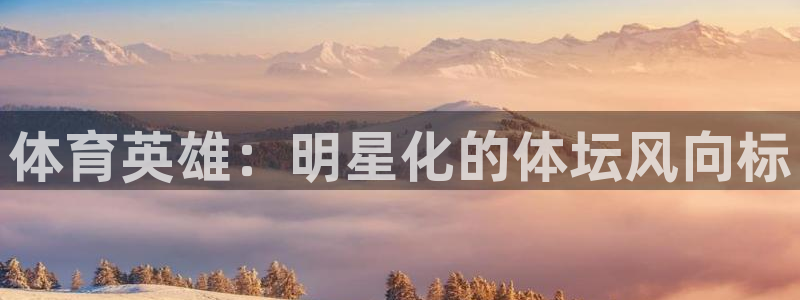 球友体育app免费看球：体育英雄：明星化的体坛风向标
