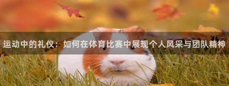 球友体育直播官网入口：运动中的礼仪：如何在体育比赛中展现个人风采与团队精神