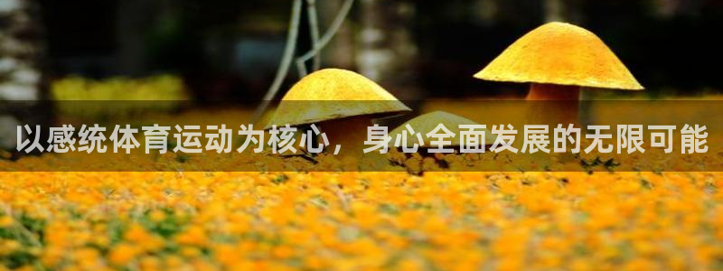 球友体育app小米应用商店版下载：以感统体育运动为核心，身心全面发展的无限可能