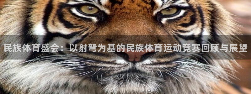 球友体育app下载：民族体育盛会：以射弩为基的民族体育运动竞赛回顾与展望