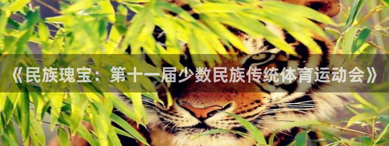 球友体育app官方下载：《民族瑰宝：第十一届少数民族传统体育运动会》